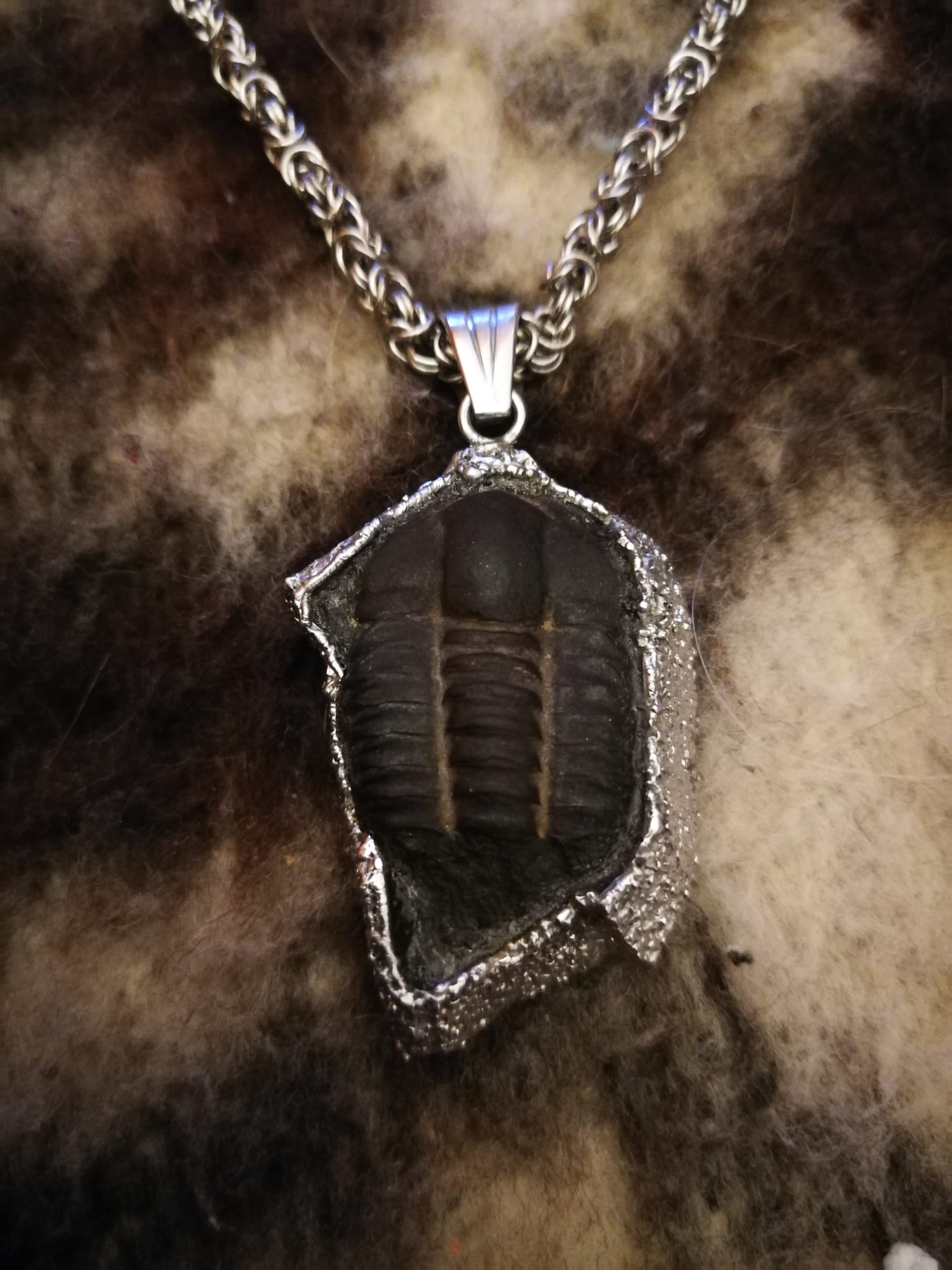 AG obruba s trilobitem